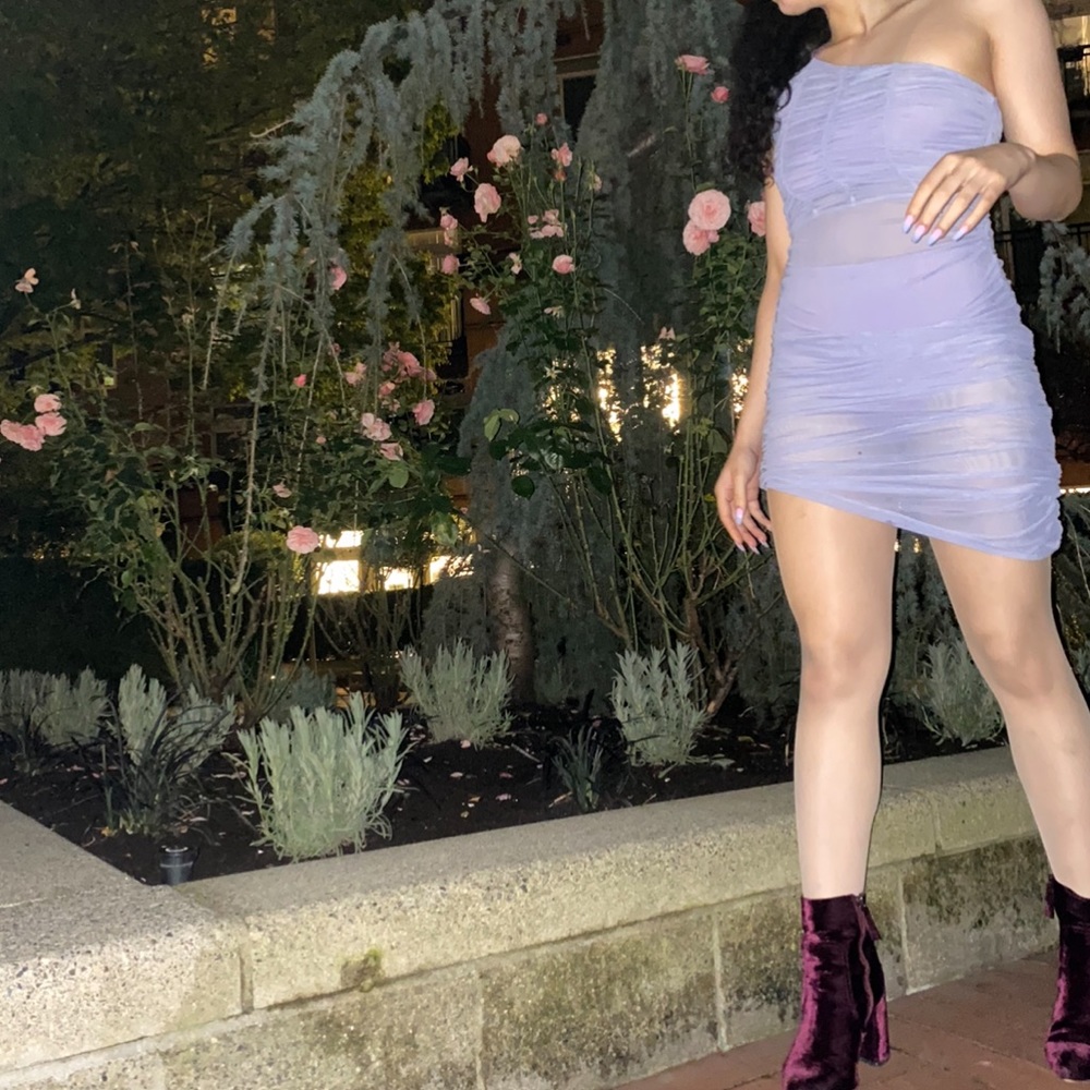 Danielle Guizio Purple Mesh Dress